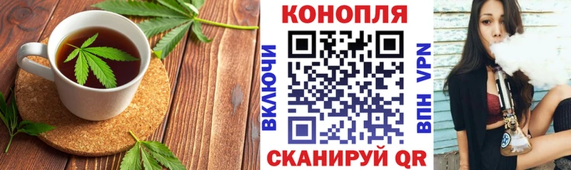 наркота  Долгопрудный  даркнет наркотические препараты  Canna-Cookies марихуана 