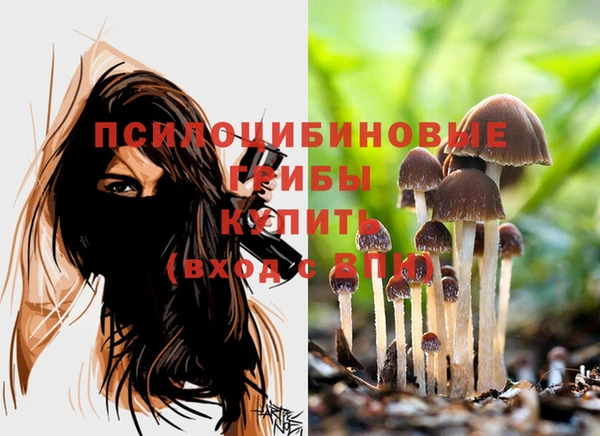 марки nbome Аркадак