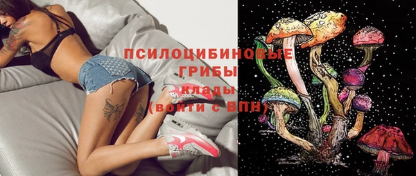 марки nbome Аркадак